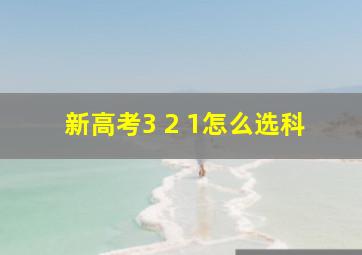 新高考3 2 1怎么选科